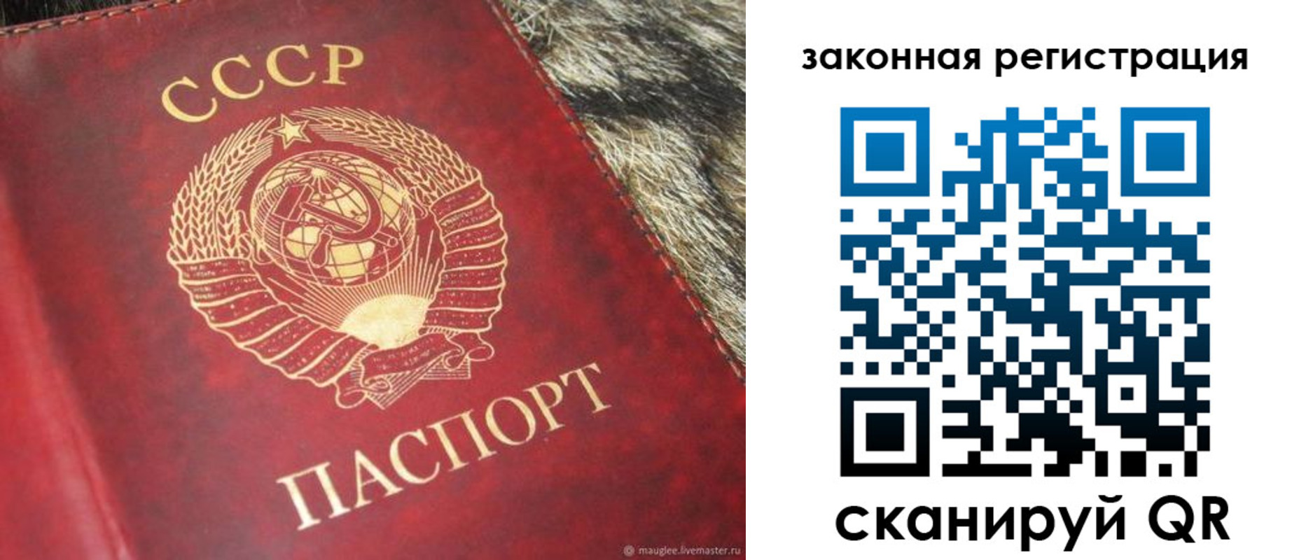 прописка от собственника в Купино